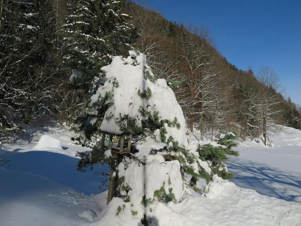 Waterval In Het Huis Boshoek Villa Aschau im Chiemgau Exteriör bild