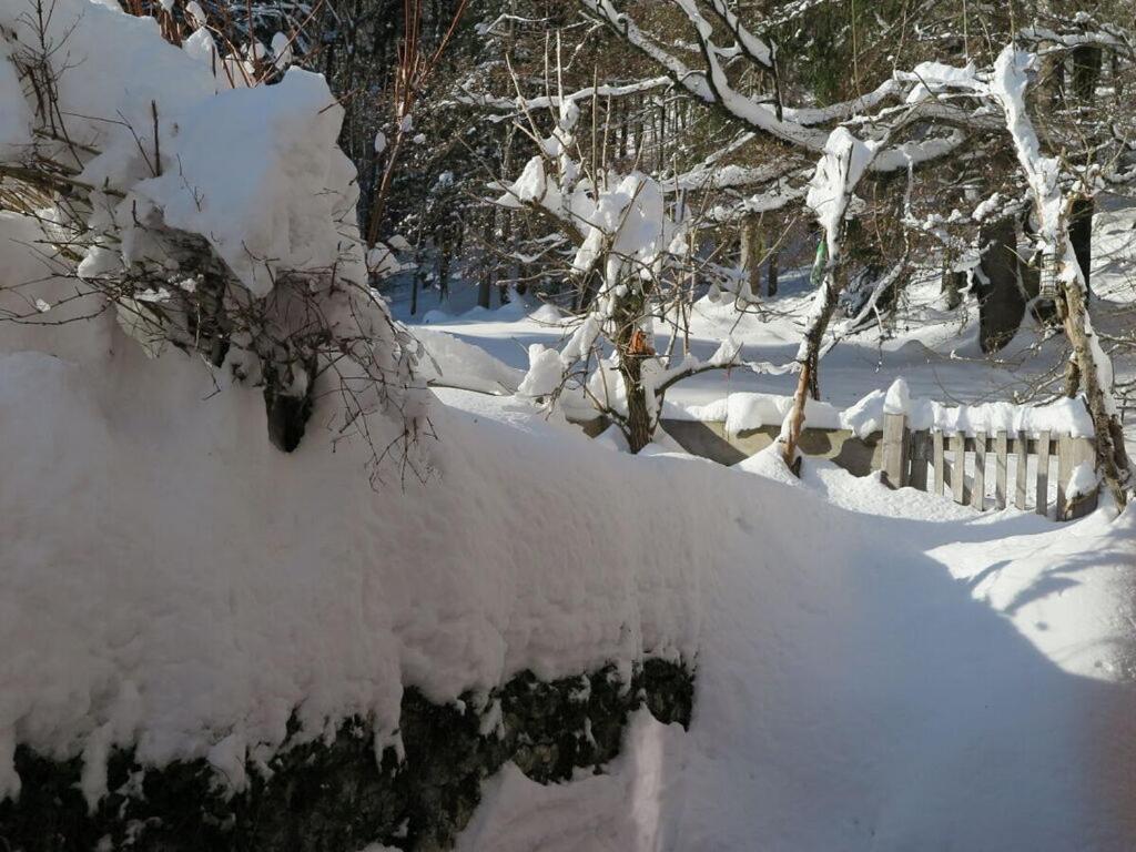 Waterval In Het Huis Boshoek Villa Aschau im Chiemgau Exteriör bild