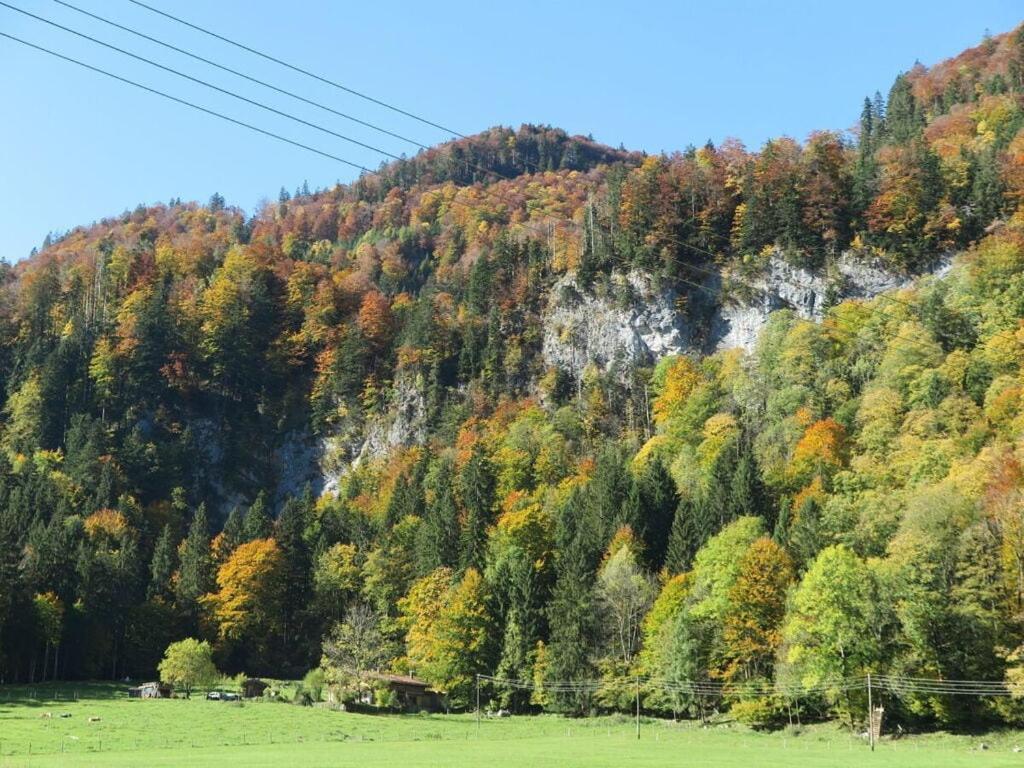 Waterval In Het Huis Boshoek Villa Aschau im Chiemgau Exteriör bild