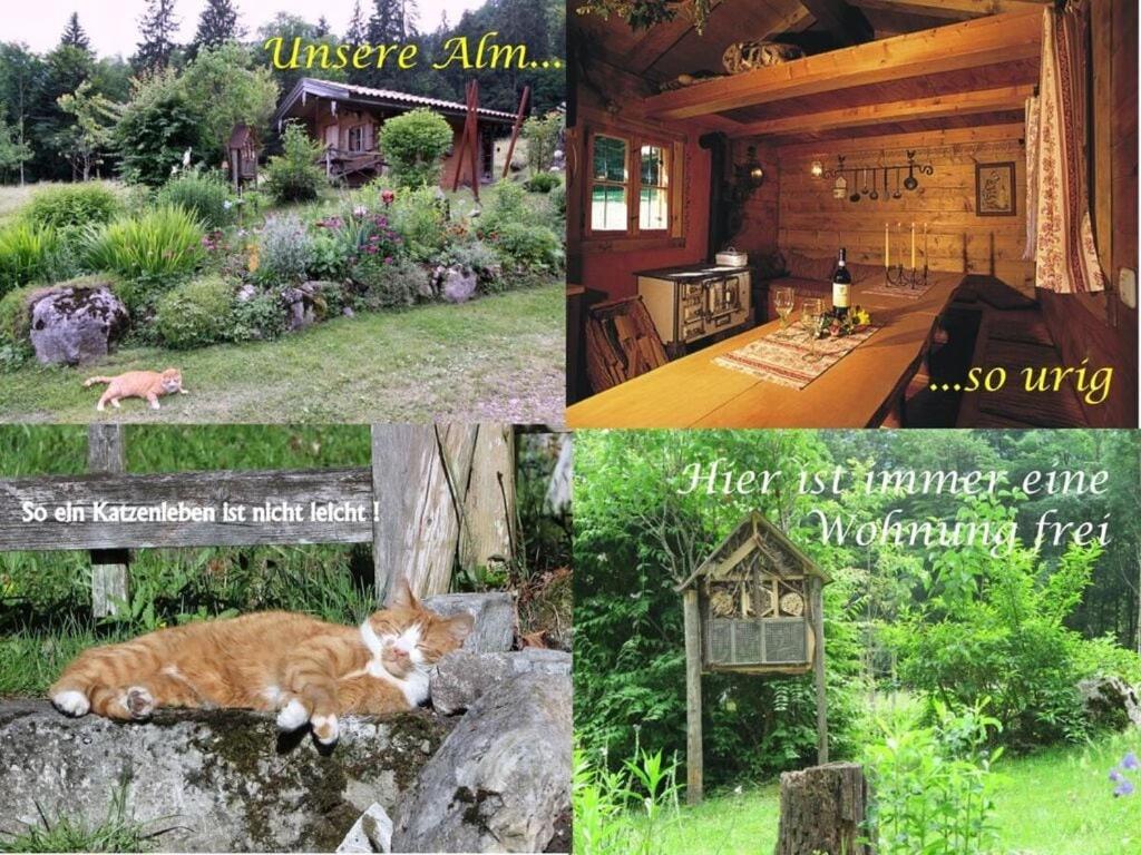 Waterval In Het Huis Boshoek Villa Aschau im Chiemgau Exteriör bild